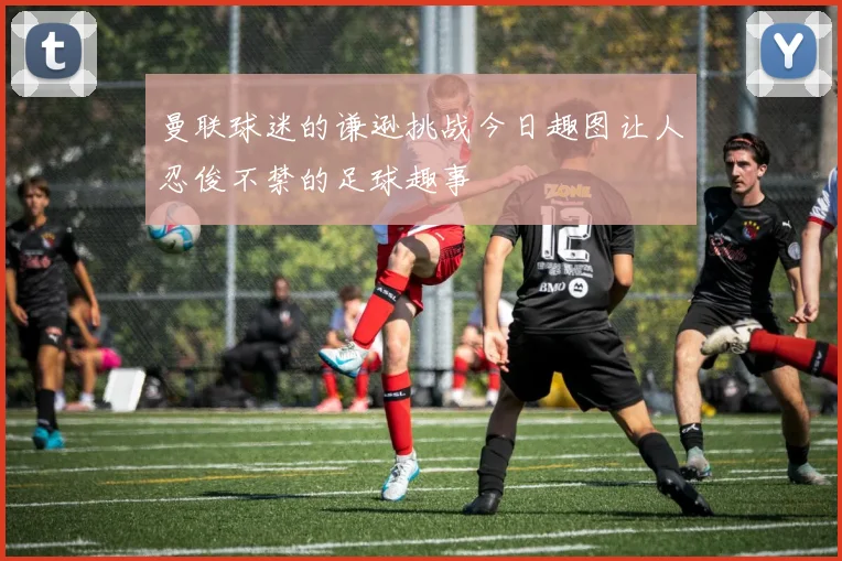 曼联球迷的谦逊挑战今日趣图让人忍俊不禁的足球趣事