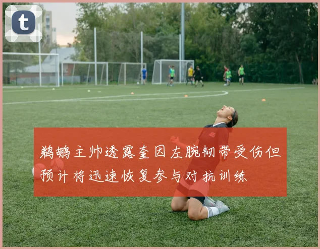 鹈鹕主帅透露奎因左腕韧带受伤但预计将迅速恢复参与对抗训练