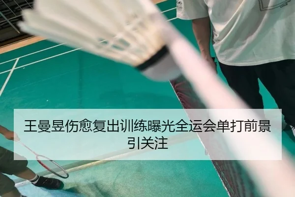王曼昱伤愈复出训练曝光全运会单打前景引关注